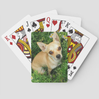 Cute Chihuahua in Grass Meadow Poker Cards