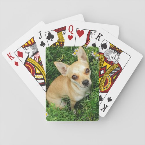 Cute Chihuahua in Grass Meadow Poker Cards