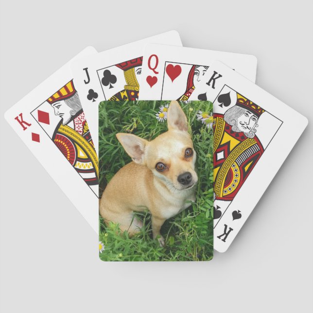Cute Chihuahua in Grass Meadow Poker Cards (Back)