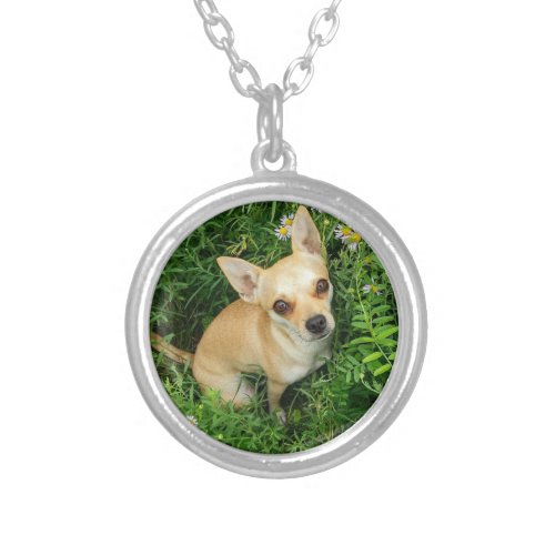 Cute Chihuahua in Grass Meadow Silver Plated Necklace