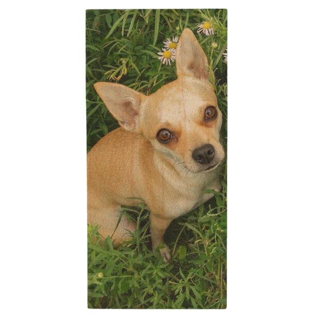 Cute Chihuahua in Grass Meadow Wood Flash Drive (Front Vertical)