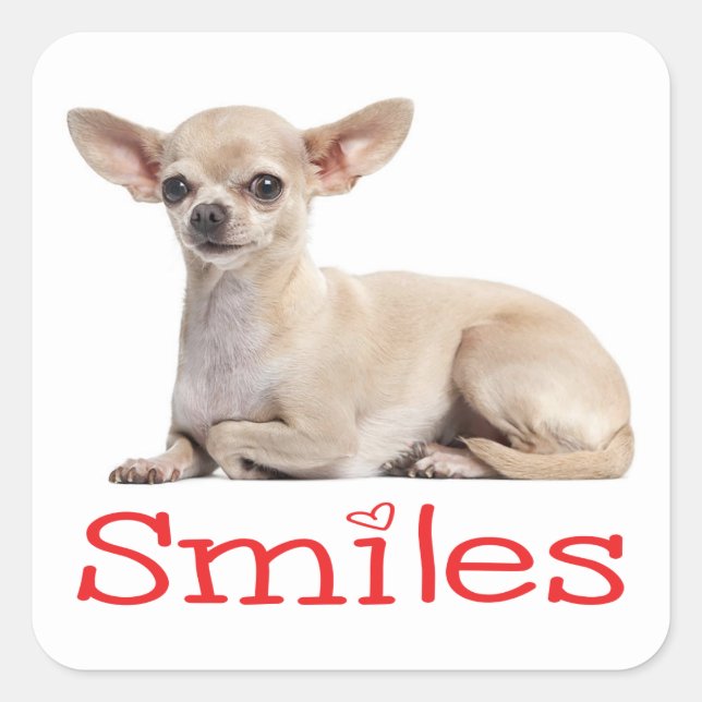 Cute Chihuahua Mom Puppy Dog Rescue Hello Love Square Sticker (Front)