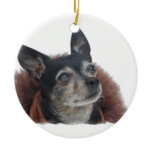 Cute Chihuahua Ornament