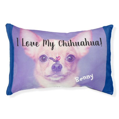 Cute Chihuahua Photo Dog Blue Name Pet Bed