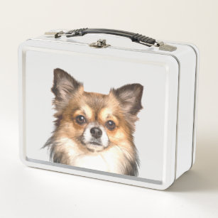 dog lunch boxes