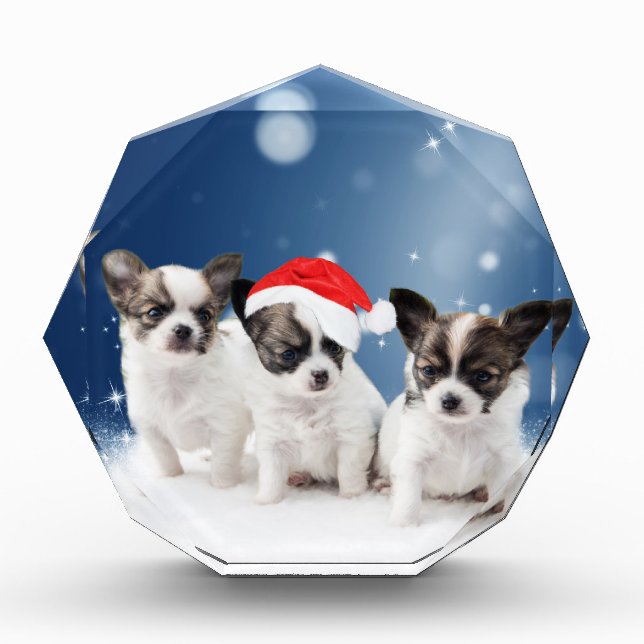 Cute Chihuahua Puppies with Santa Hat Christmas Award (Front)