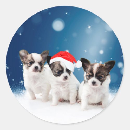 Cute Chihuahua Puppies with Santa Hat Christmas Classic Round Sticker