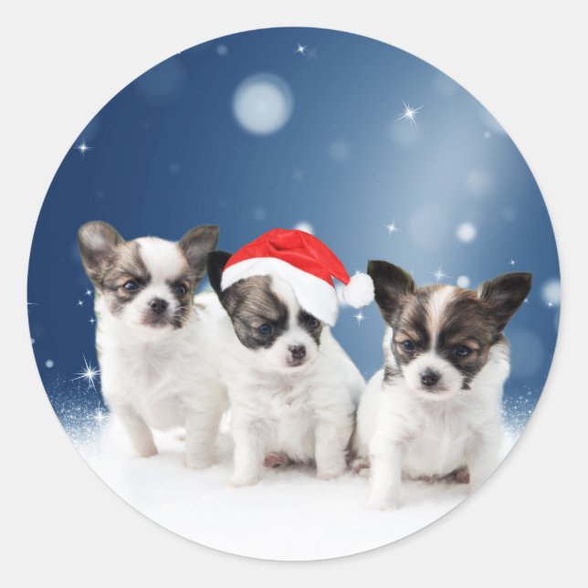 Cute Chihuahua Puppies with Santa Hat Christmas Classic Round Sticker (Front)
