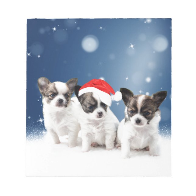 Cute Chihuahua Puppies with Santa Hat Christmas Notepad (Front)