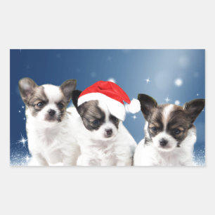 Cute Chihuahua Puppies with Santa Hat Christmas Rectangular Sticker