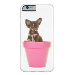 Cute chihuahua puppy barely there iPhone 6 case