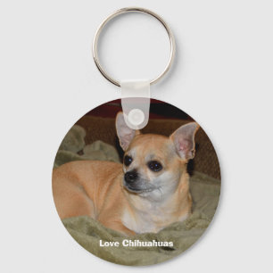 Cute Chihuahua Resting Keychain