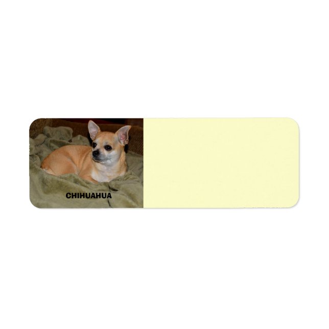 Cute Chihuahua Resting Label (Front)
