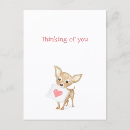 Cute chihuahua thinking of you postcard