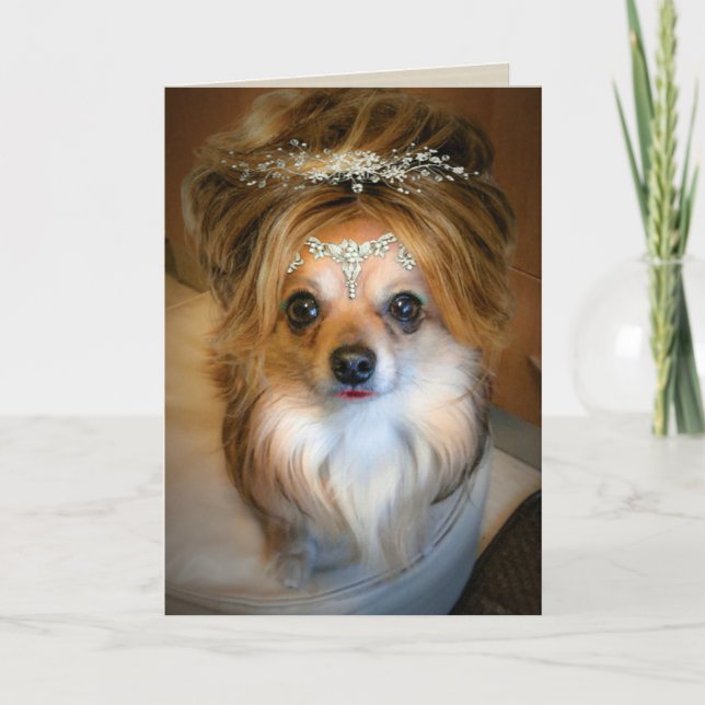 Cute Chihuahua wearing a wig Birthday Card (Front)