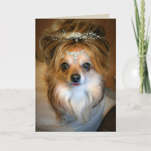 Cute Chihuahua wearing a wig Birthday Card