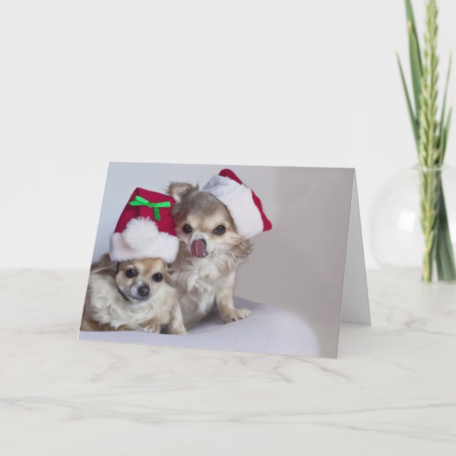 Cute chihuahuas Christmas Card (Front)