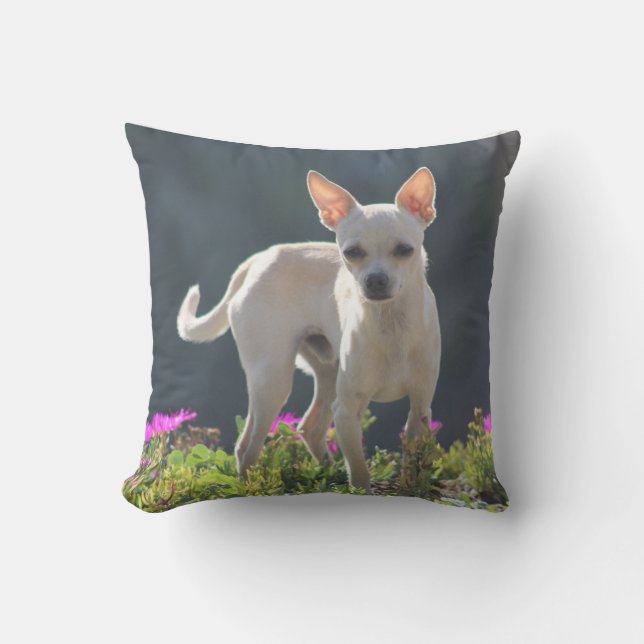 Cute Chihuahuha in flower bed Throw Pillow (Front)