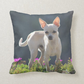 Cute Chihuahuha in flower bed Throw Pillow