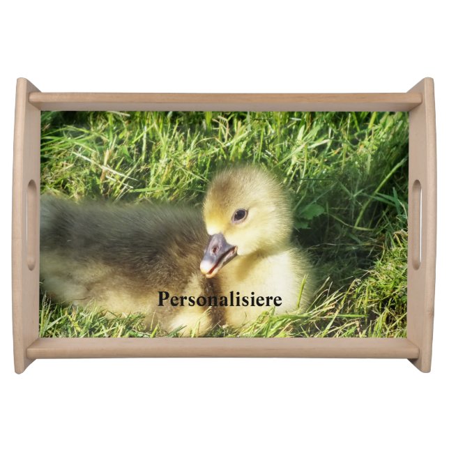 cute child in the grass geese serving tray (Front)