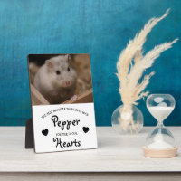 Cute Children's Pet Memorial