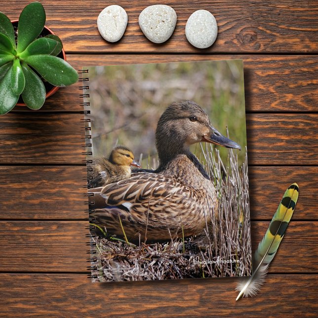Cute Chillin' Mallard Mom Duck & Baby Duckling Notebook (Chillin' Mallard Mom and Baby Journal Cover Photo)