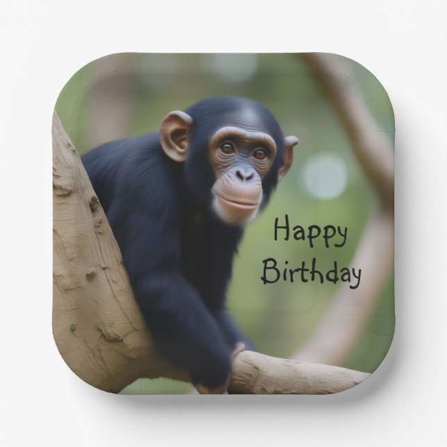 Cute Chimpanzee Birthday Paper Plates (Front)