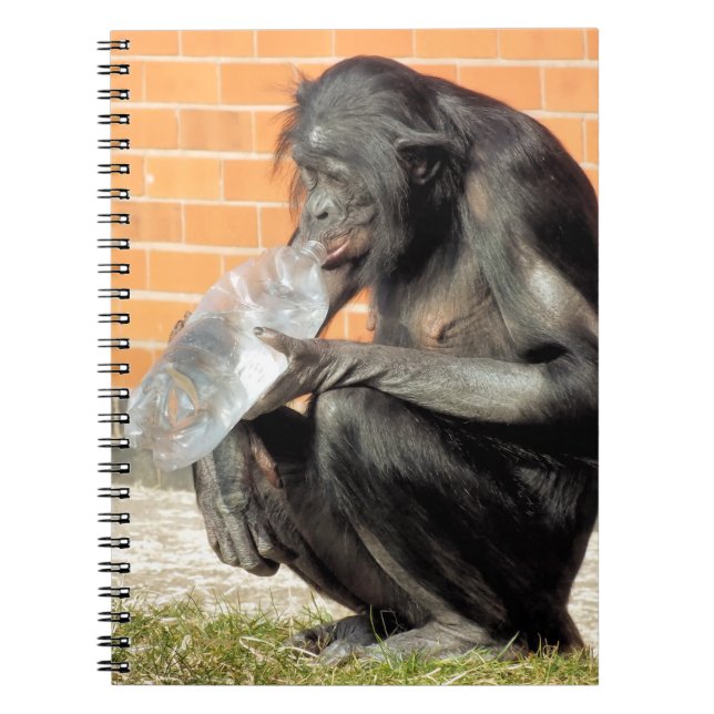 CUTE CHIMPANZEE NOTEBOOK (Front)
