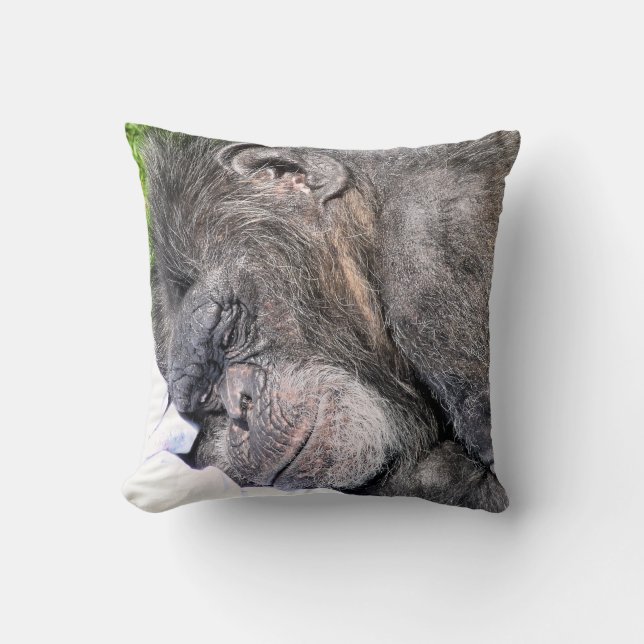 CUTE CHIMPANZEE THROW PILLOW (Front)