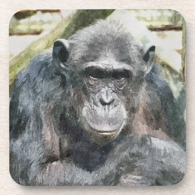 CUTE CHIMPANZEES COASTER (Front)