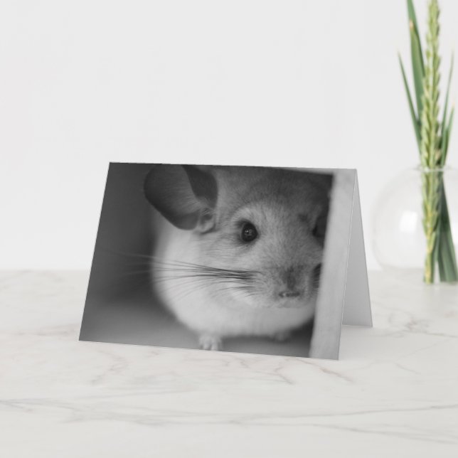 Cute Chinchilla Card (Front)