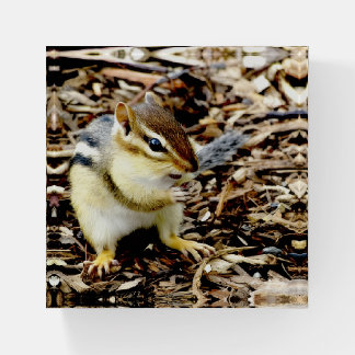 Cute Chipmonk Paperweight