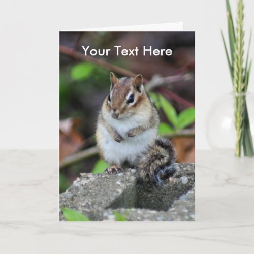 Cute Chipmunk Animal Nature Photo Card