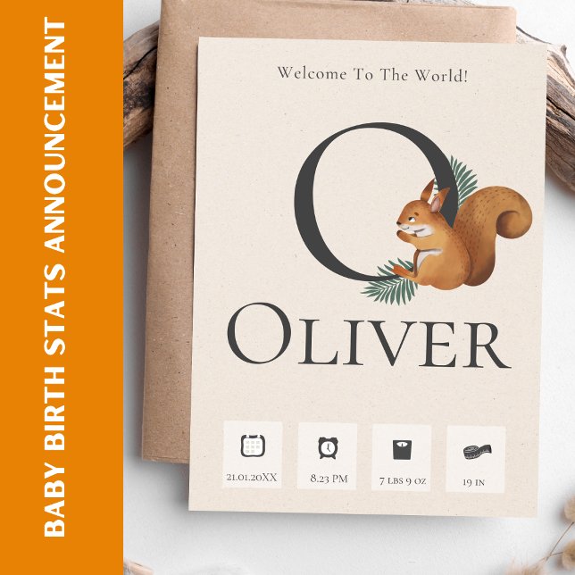 Cute Chipmunk Baby Birth Stats Announcement (Cute Chipmunk Baby Birth Stats Announcement)