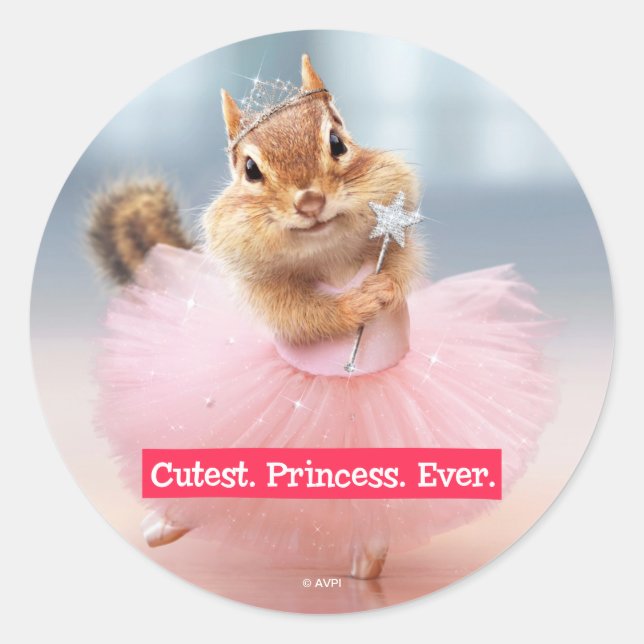 Cute Chipmunk Ballerina in tutu at Dance Studio Classic Round Sticker (Front)