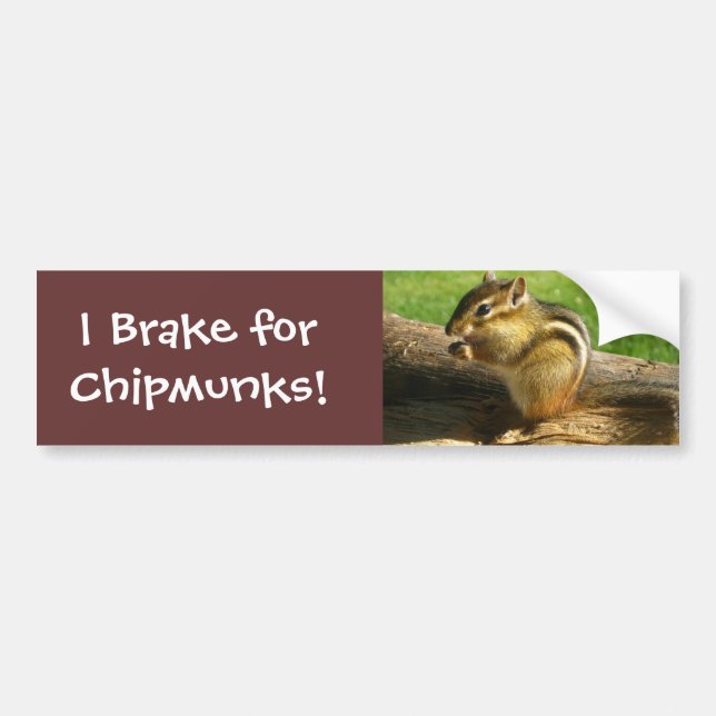 Cute Chipmunk Bumper Sticker (Front)