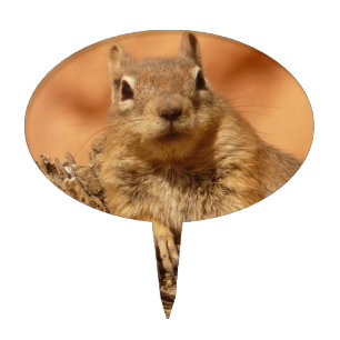 Cute Chipmunk Cake Topper