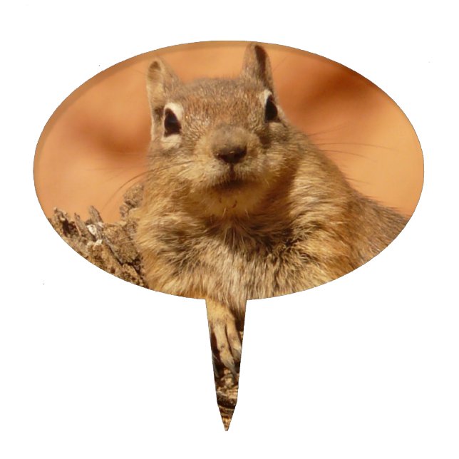 Cute Chipmunk Cake Topper (Front)