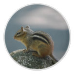 Cute Chipmunk Ceramic Knob