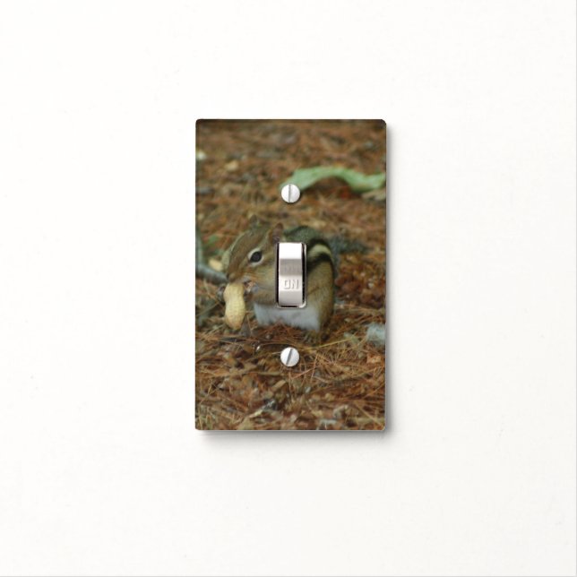 Cute Chipmunk Eating Peanut Animal Light Switch Cover (In Situ)