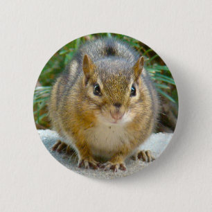 Cute Chipmunk Has His Eye On You Button