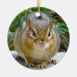 Cute Chipmunk Has His Eye On You Ceramic Ornament