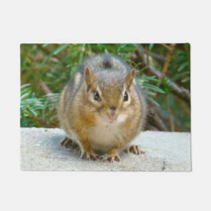Cute Chipmunk Has His Eye On You Doormat