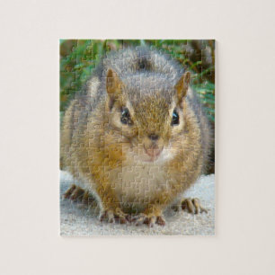 Cute Chipmunk Has His Eye On You Jigsaw Puzzle