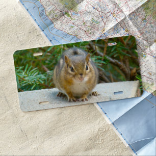 Cute Chipmunk Has His Eye On You License Plate