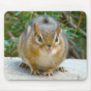Cute Chipmunk Has His Eye On You Mouse Pad