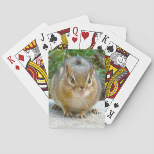 Cute Chipmunk Has His Eye On You Poker Cards
