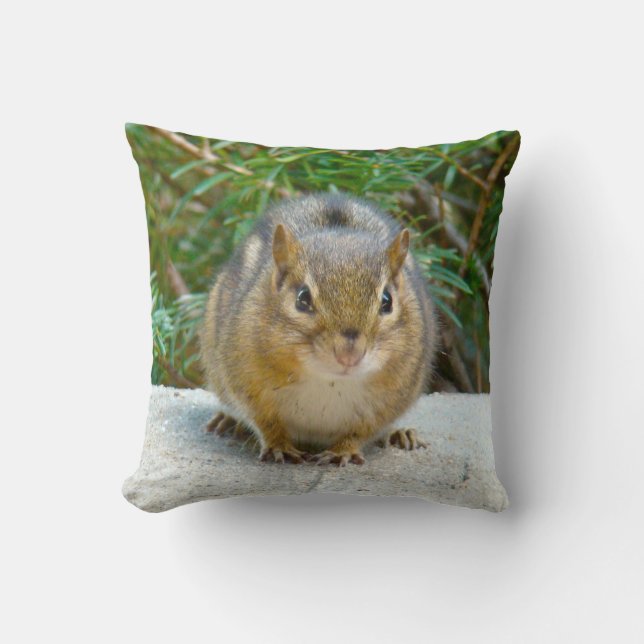 Cute Chipmunk Has His Eye On You Throw Pillow (Front)