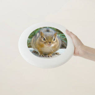 Cute Chipmunk Has His Eye On You Wham-O Frisbee