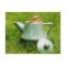 Cute Chipmunk in Teapot
